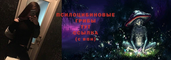 PSILOCYBIN Алзамай