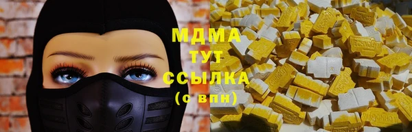PSILOCYBIN Алзамай