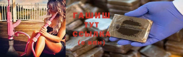 PSILOCYBIN Алзамай