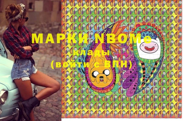 PSILOCYBIN Алзамай