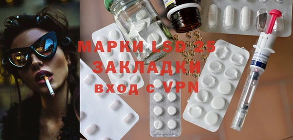 PSILOCYBIN Алзамай